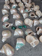 Napkin rings mother for sale  Trenton