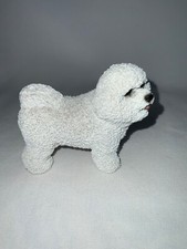 Bichon frise white for sale  New Braunfels