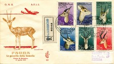 Gazzella aerea somalia usato  Roma