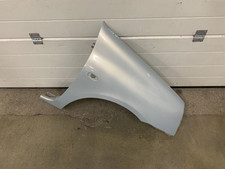 Kotflügel renault clio gebraucht kaufen  Naumburg