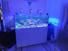 Meerwasseraquarium aqua medic gebraucht kaufen  Bad Sülze