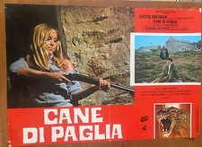 Fotobusta cane paglia usato  Messina