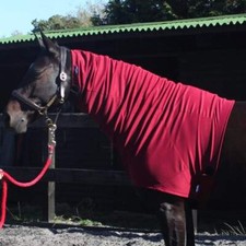 Snuggy hoods headless for sale  UK
