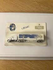 Hösl kenworth w900b gebraucht kaufen  Türkheim