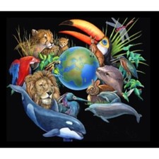 Framed living earth for sale  Pocasset