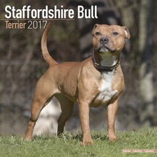 Calendrier 2017 staffordshire d'occasion  Troyes