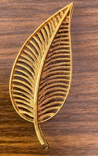 skeleton leaves for sale skeleton leaves for sale HINCKLEY