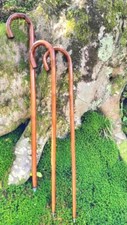 Bastoni per andare usato  Torrebelvicino