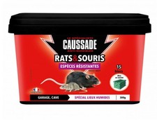 Lot pâtes rats d'occasion  Blangy-sur-Bresle