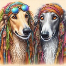 Saluki greyhound lurcher for sale  RICKMANSWORTH