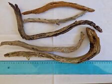 Driftwood legnetti mare usato  Villaspeciosa