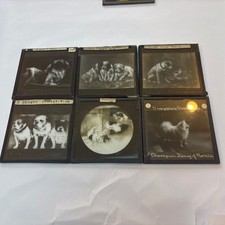 Lantern slides antique for sale  STRATFORD-UPON-AVON