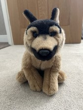 Alsatian puppy german for sale  PRESTON