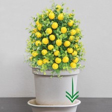 Artificiel plante garden d'occasion  Expédié en France