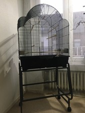 Vogelkäfig voliere wellensitt gebraucht kaufen  Viersen