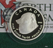 2004 CANADÁ US$ 2 raposa ártica 1/10 oz. 99,99% acabamento à prova de prata - apenas moeda comprar usado  Enviando para Brazil