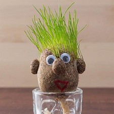 Bartl 111335 mini gebraucht kaufen  Dresden