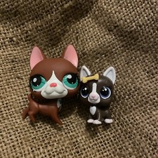 Littlest pet shop for sale  WARRINGTON