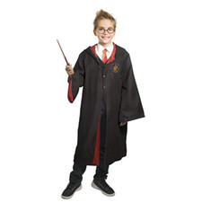 Ciao harry potter usato  Roccagloriosa