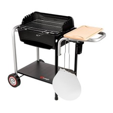Barbecue charbon bois d'occasion  France