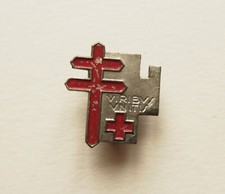 Distintivo spilla pin usato  Italia