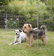 Bellissa teichschutzzaun klein gebraucht kaufen  Bordesholm