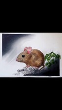 Riginalzeichnung maus im gebraucht kaufen  Schwäbisch Gmünd