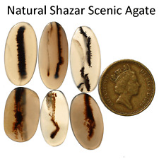 Usado, Lote de 6 peças de pedras preciosas cabochão oval de ágata cênica natural Shazar grau superior 21mm-26mm comprar usado  Enviando para Brazil