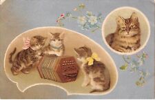 Animaux 64047 chats d'occasion  France