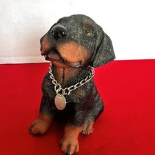 Rottweiler pup dog for sale  Clio