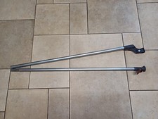 Isabella pole rex for sale  HINCKLEY