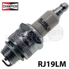 Riginal rj19lm champion gebraucht kaufen  Deckenpfronn
