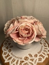 Beautiful pale pink for sale  Conowingo
