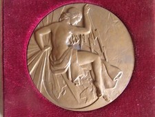 Médaille table construction d'occasion  Les Rosiers-sur-Loire
