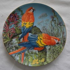 macaw plate for sale  YORK