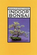 Indoor bonsai plants for sale  Houston