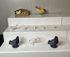Huge lot birds for sale  Milton