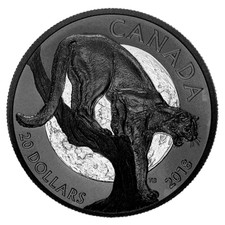 Nocturnal nature cougar gebraucht kaufen  Berlin