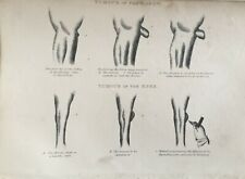 Antique horse print for sale  TORRINGTON