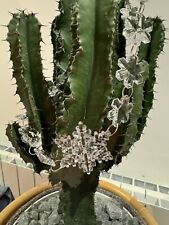 Decoris acrylic snowflake for sale  PETERBOROUGH