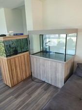 Auatlantis aquarium komplett gebraucht kaufen  Bornich, Dahlheim, Kestert