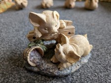 Russ truffles playful for sale Russ truffles playful for sale  BACUP