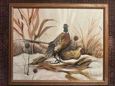 Ring neck pheasant for sale  Palm Desert
