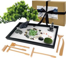 Luxianys zen garden usato  Anzio
