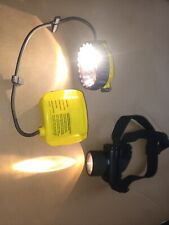 Petzl duo headlamp for sale  WORKSOP