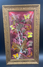 Quadro con farfalla usato Quadro con farfalla usato  Ardea