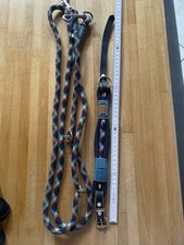 Set halsband führleine gebraucht kaufen  Neustadt an der Weinstraße