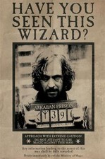 Harry potter wanted gebraucht kaufen  Regensburg
