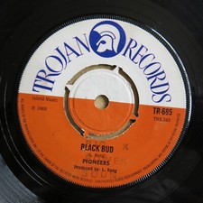 Pioneers black bud for sale  MAIDSTONE