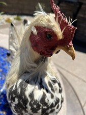 Rooster taxidermy silver for sale  Ladera Ranch